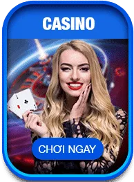 casino vip66