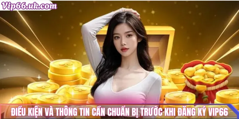 Điều kiện và thông tin cần chuẩn bị trước khi đăng ký VIP66