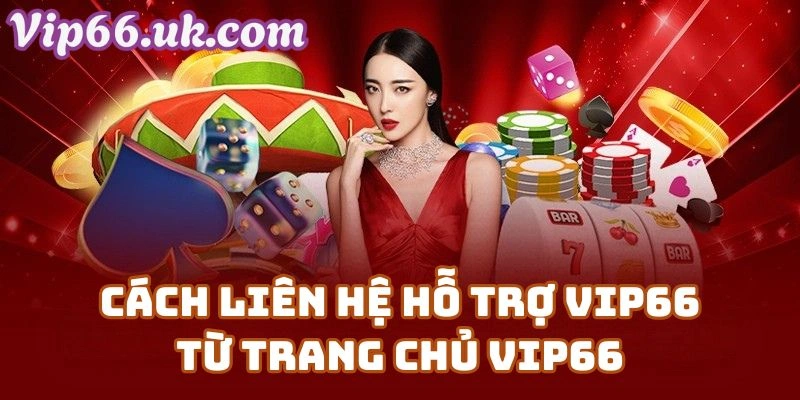 Cách Liên Hệ Hỗ Trợ VIP66 Từ Trang Chủ Vip66 Com