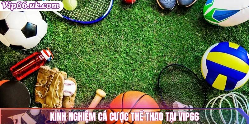 Kinh nghiệm cá cược thể thao tại VIP66