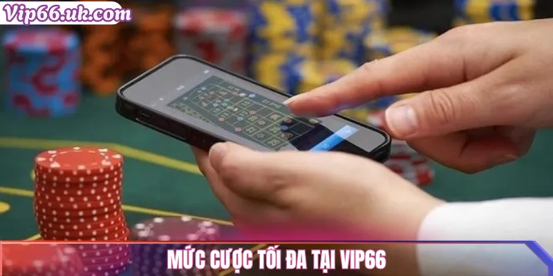 Mức cược tối đa tại VIP66