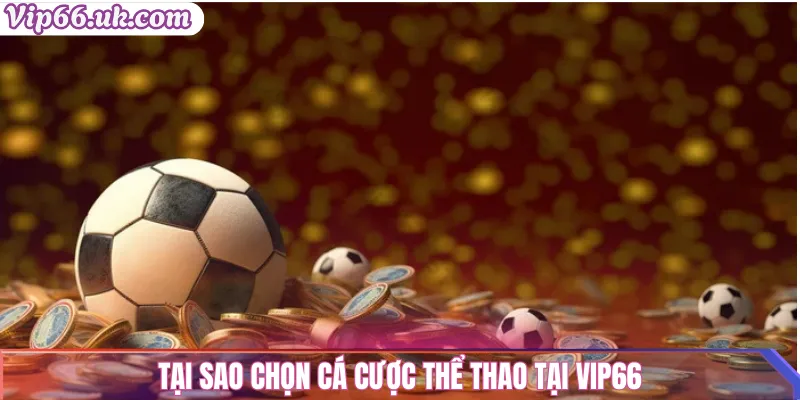 Tại sao chọn cá cược thể thao tại VIP66