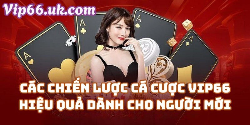 Các Chiến Lược Cá Cược Vip66 Hiệu Quả Dành Cho Người Mới