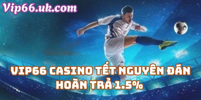 Vip66 Casino Tết Nguyên Đán – Hoàn Trả 1.5% Không Giới Hạn