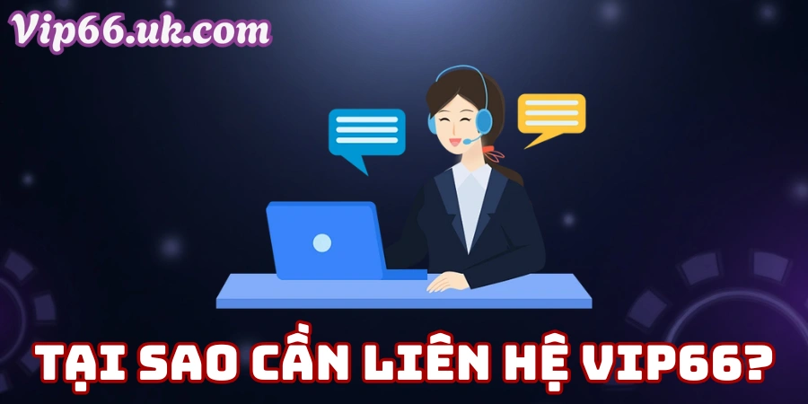 Tại Sao Cần Liên Hệ VIP66?