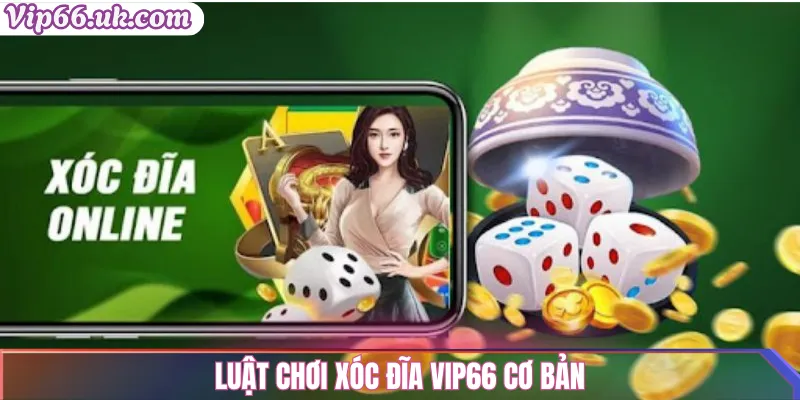 Luật chơi Xóc Đĩa Vip66 cơ bản